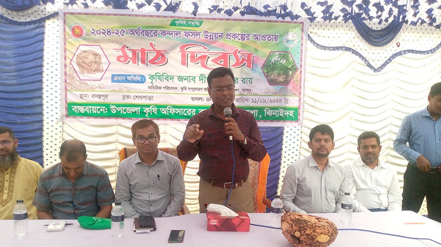 Jhenaidah farmers urged to grow elephant foot yam commercially