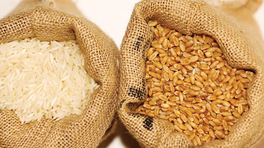 Govt to import 6 lakh mts rice, wheat