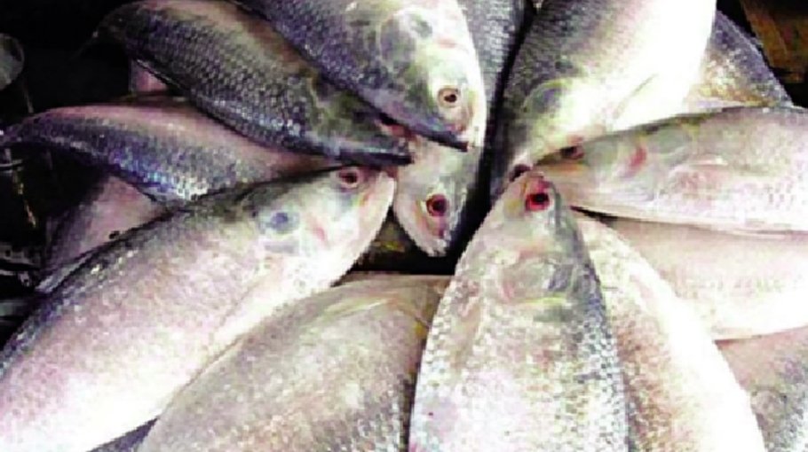 Decision on hilsa export to India taken for greater interest: Salehuddin