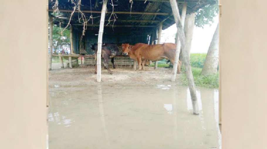 Public sufferings mount 