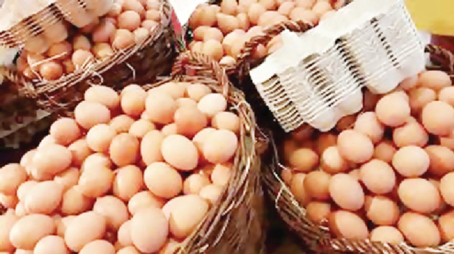 Govt allows import of 4.5cr eggs to stabilise market