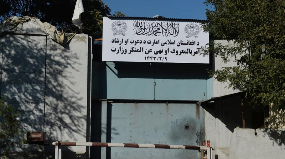 Afghan Taliban vow to implement media ban on images of living things