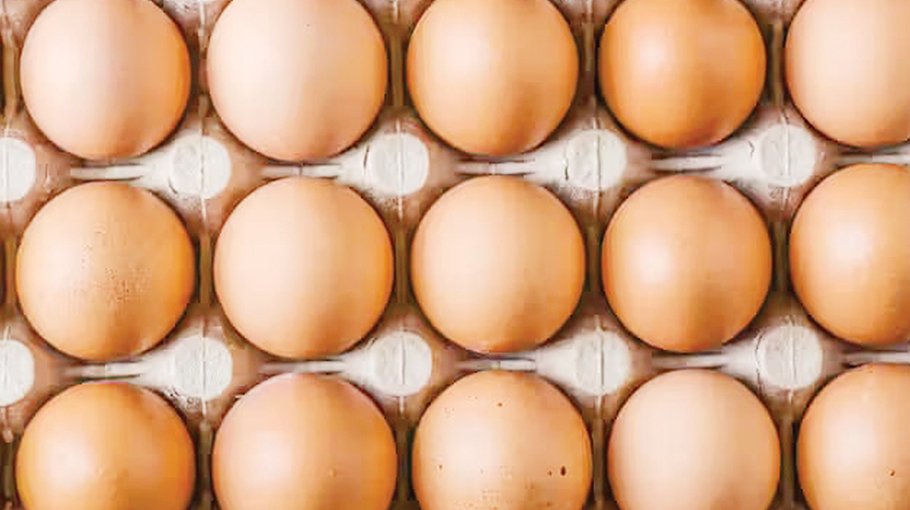 Egg price drops by Tk 25-30 per dozen following govt steps