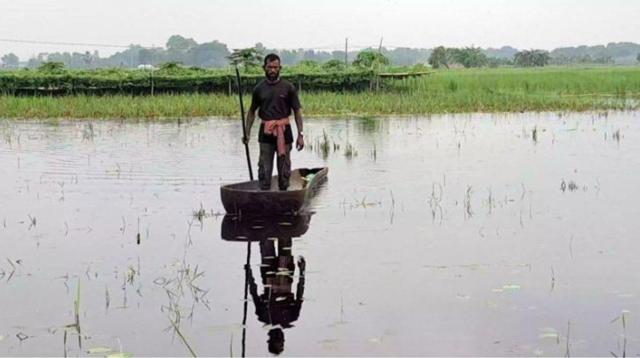 Flood causes Tk 100cr losses in Narail fisheries, agri sector