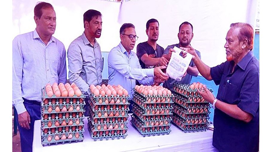 Sale of eggs at fixed prices begins in Rangpur