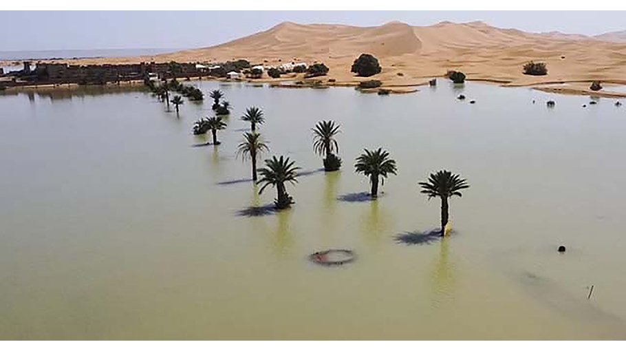 Rare Sahara floods bring Morocco's dried-up south back to life