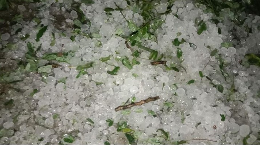 Hailstorm damages crops in Narsingdi
