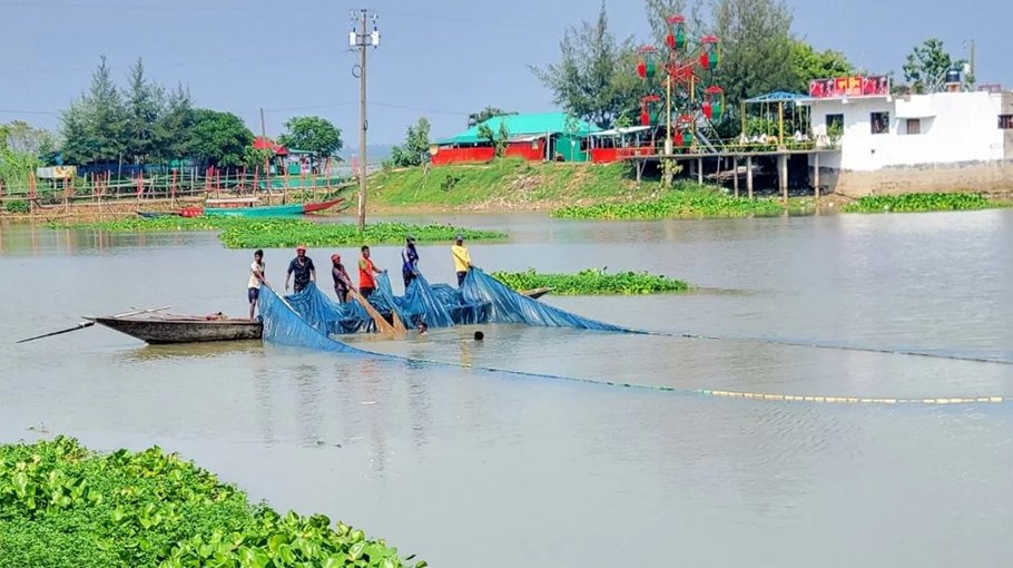 Ninety species of fish become extinct in Chalan Beel 