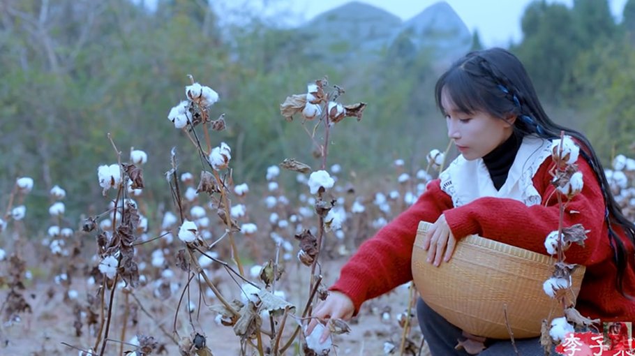 China's social media darling Li Ziqi returns