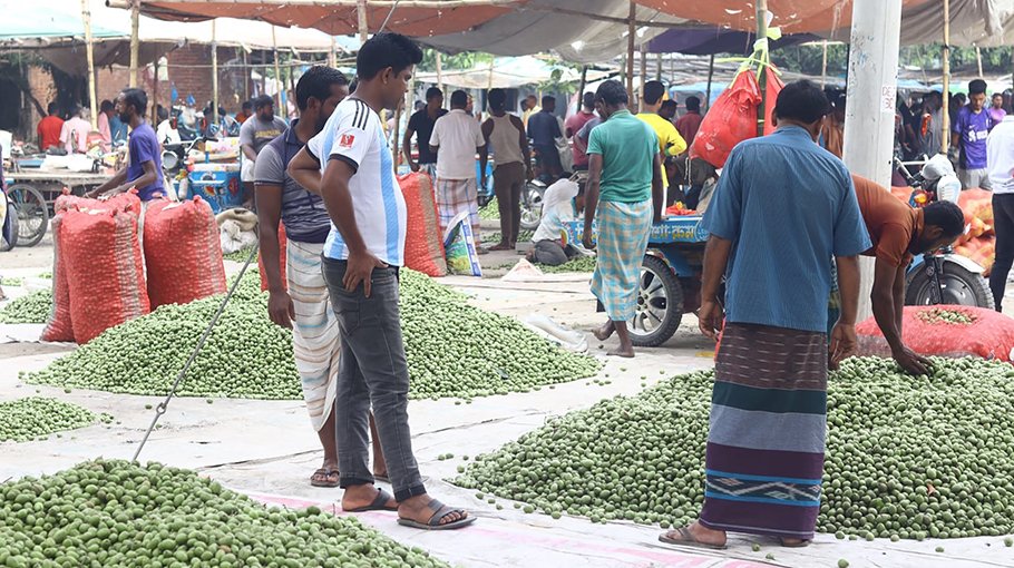 Olive market booms in Debiganj