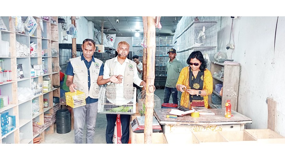 WCCU recovers over 100 wild animals 