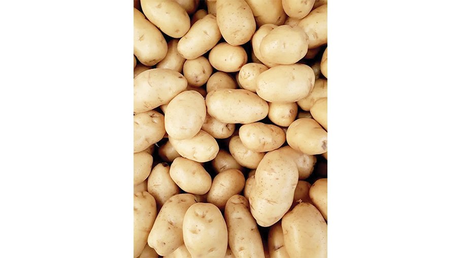 TCB starts selling potatoes at Tk 40 per kg