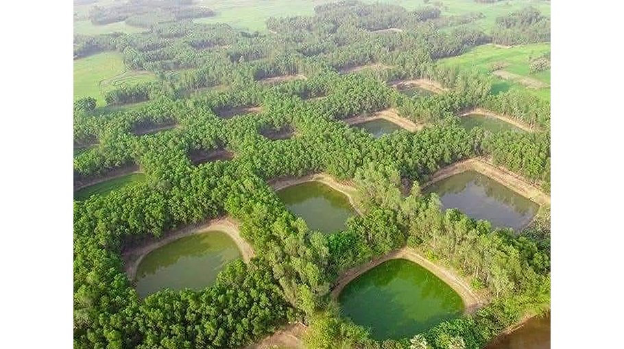 King Chandilal’s love for his queen no less than Shahjahan’s love for Momtaj 