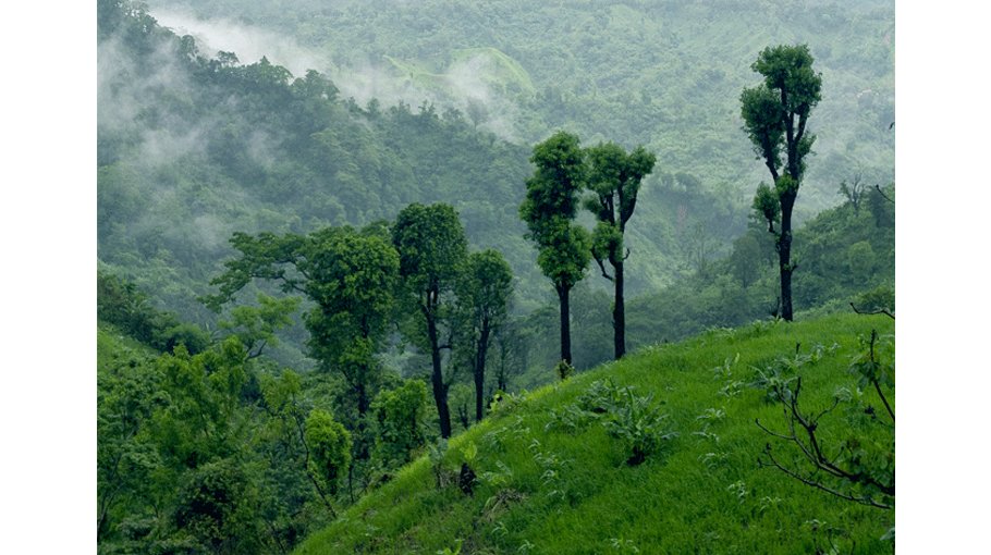 ‘Quality edn vital to make hilly region  competitive’