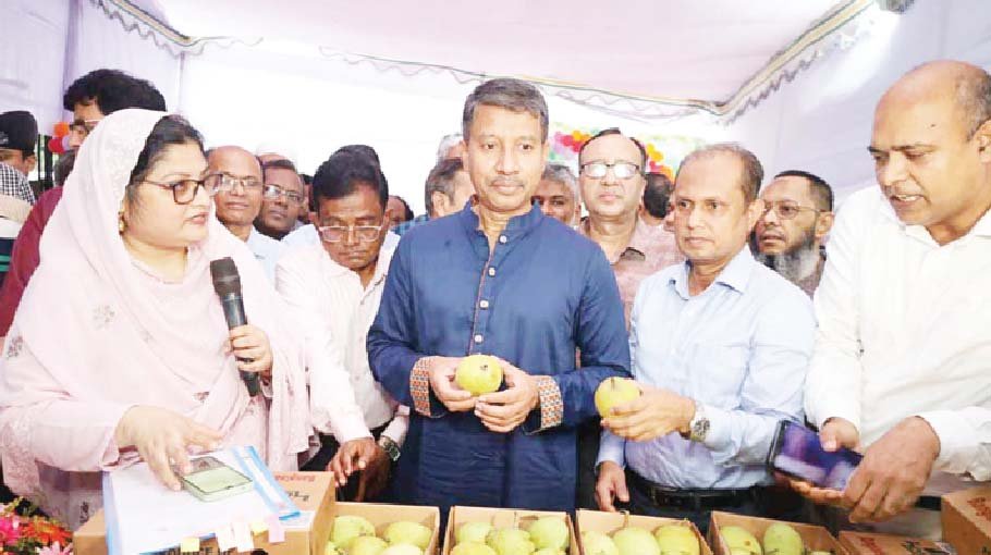 Mango exports may increase to 50,000 tonnes: Agriculture Secretary