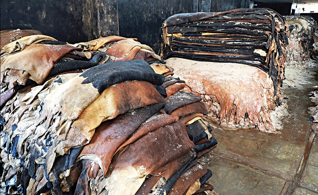 Rawhide transport to Dhaka banned for 10 days starting Eid day