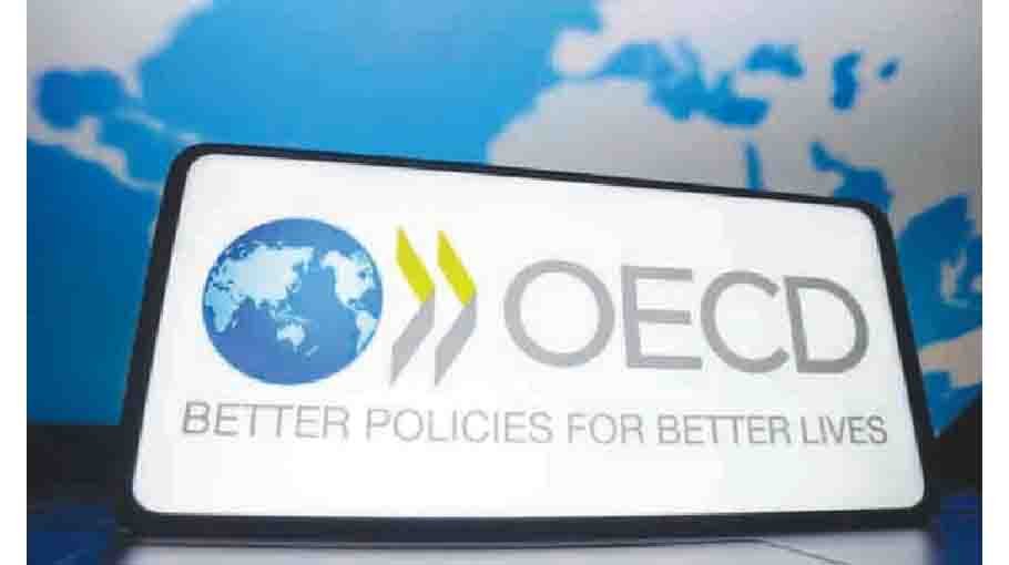 Trade war cuts global economic growth outlook: OECD