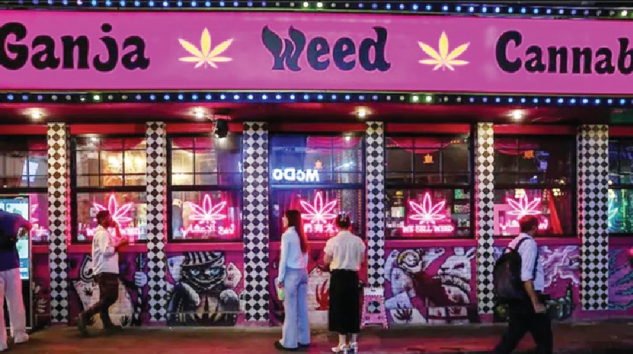 Thai cannabis stores fret as govt moves to tighten rules on sales 