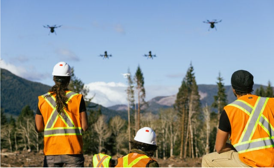 Canada turns to drones for reforestation after wildfires