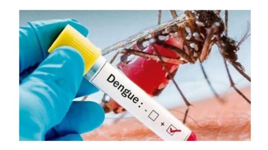 Two die of dengue,  330 hospitalised   in 24hrs