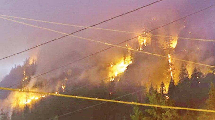 Canada wildfires burn  area the size of Croatia