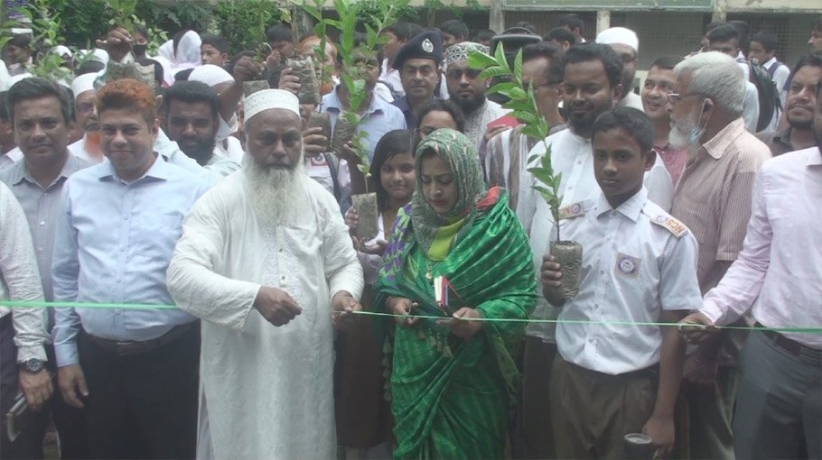 Week-long tree plantation campaign begins in Narail