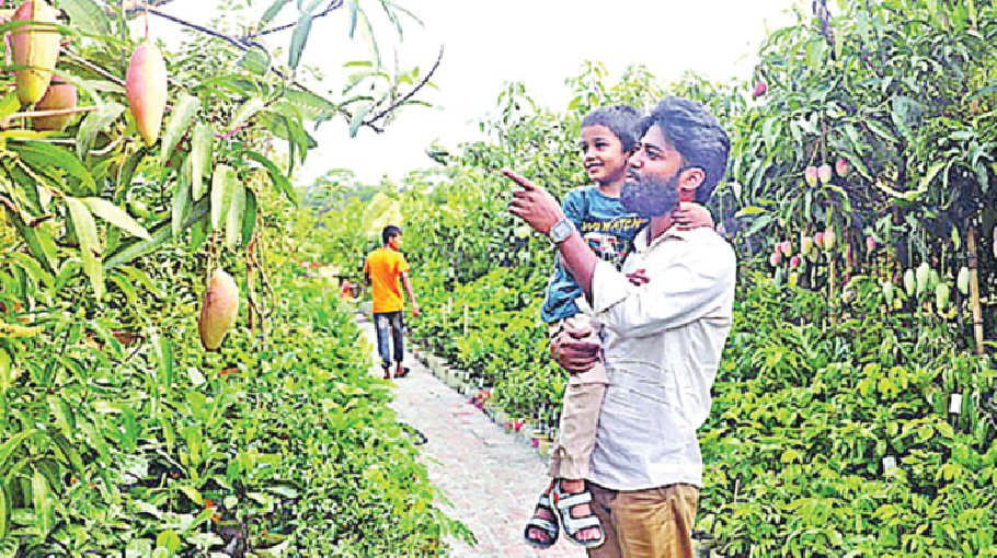 Saplings worth Tk 1.55cr sold at nat’l tree fair