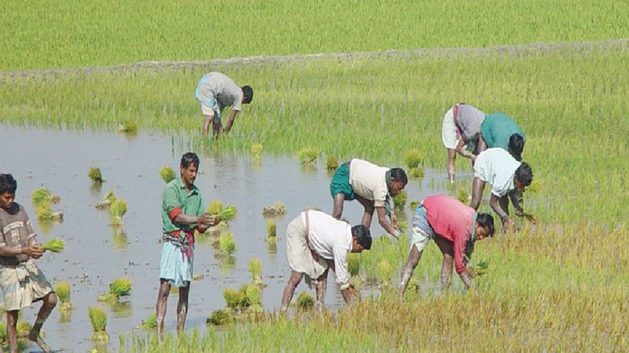 Can Bangladesh reverse the decline in farming hands?