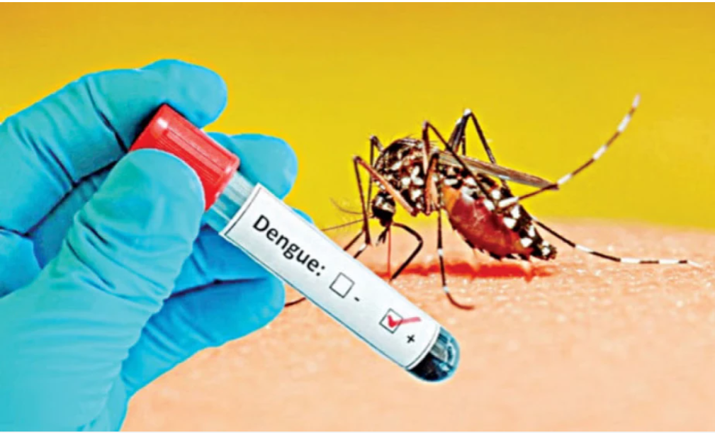 Dengue: 343 more dengue cases reported in 24hrs