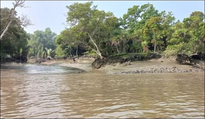 Sundarbans reopened to fishermen, tourists after three-month ban
