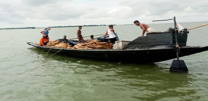 Native fish species in Sunamganj haor endangered