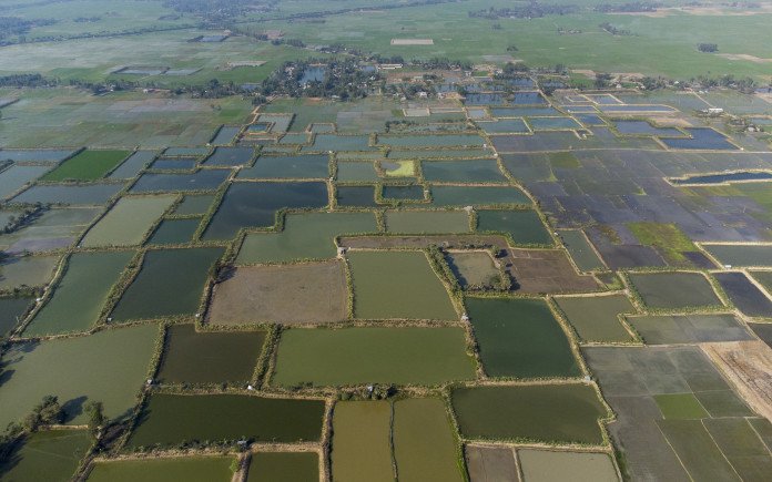 Find a remedy for Bhabodah waterlogging soon