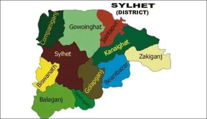 Banned BCL activist's tendons severed in Sylhet