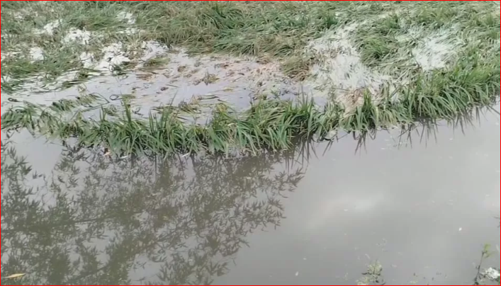 Flood eases in Lalmonirhat as Teesta water falling