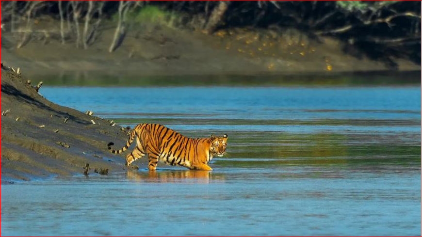 Master plan formulated to boost foreign tourism in Sundarbans
