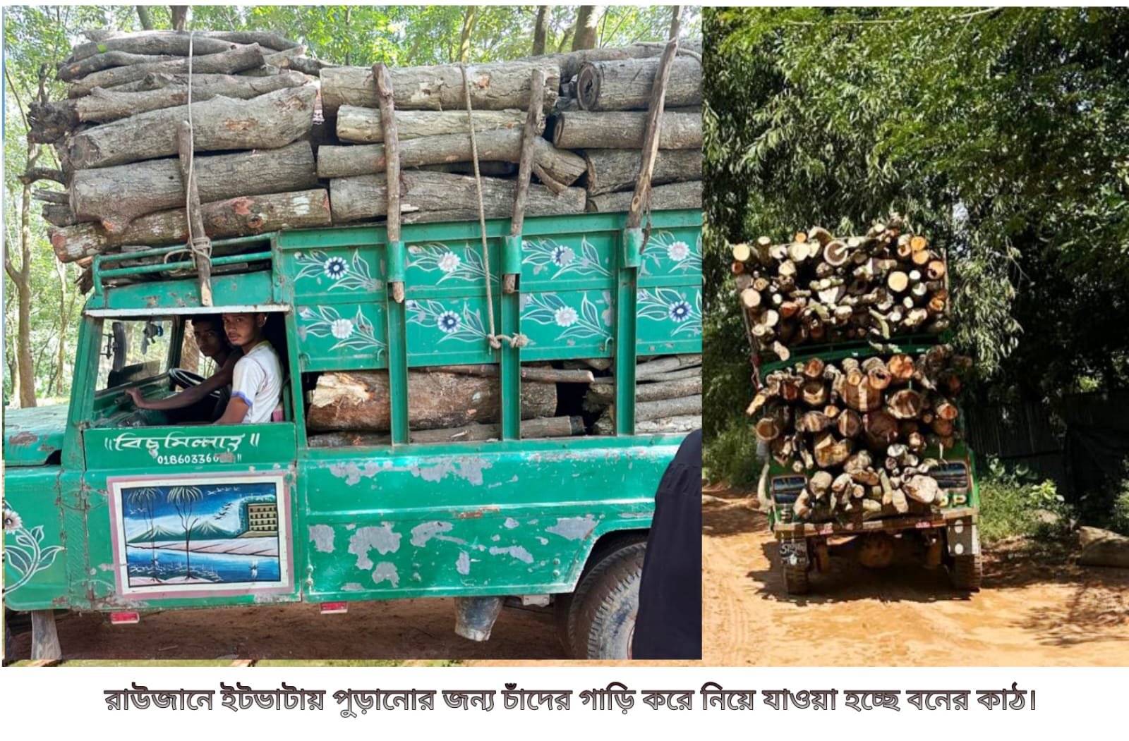 Raozan brick kilns prepare to use forest wood illegally