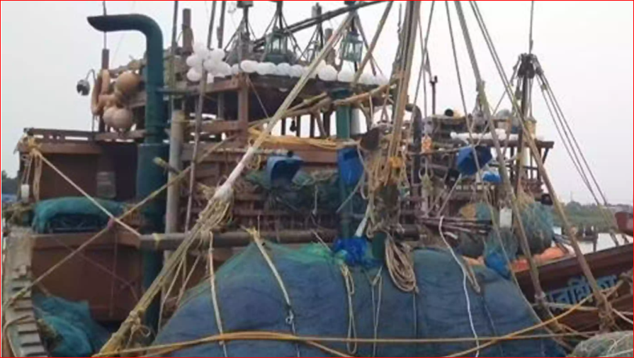 14 Indian fishermen held for illegal fishing in Bangladesh waters