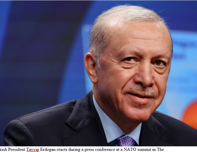 Terror-free Turkiye: A homegrown peace reshaping the region