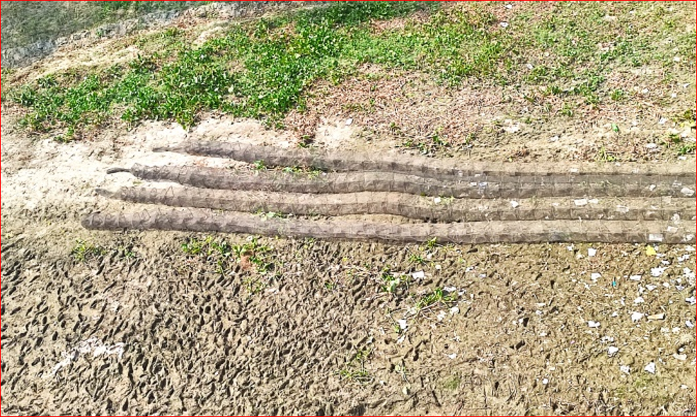 Rampant illegal fishing wipes out aquatic life in Jamalpur