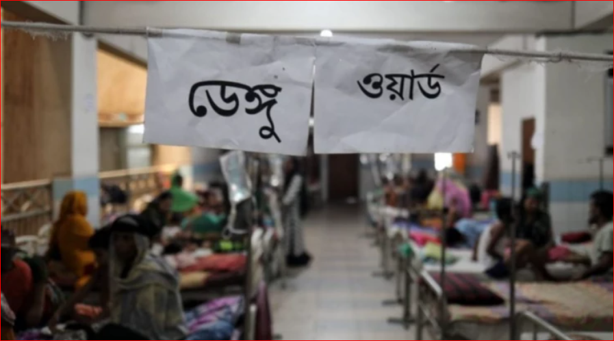 Dengue crisis deepens: 5 dead, 1,147 hospitalised in 24hrs