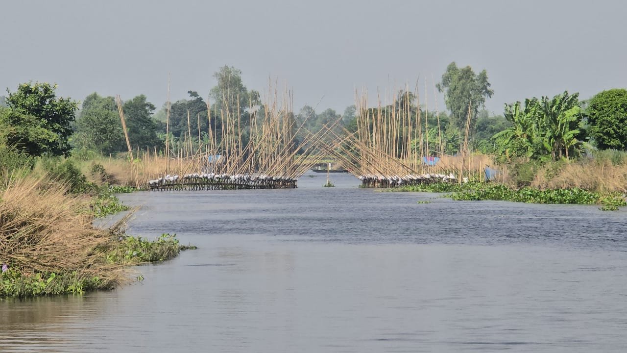 Current nets hamper onion cultivation in Sathia 