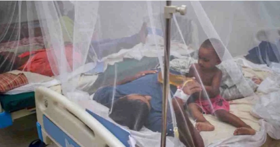 Five more die of dengue, 1139 hospitalised in 24 hours