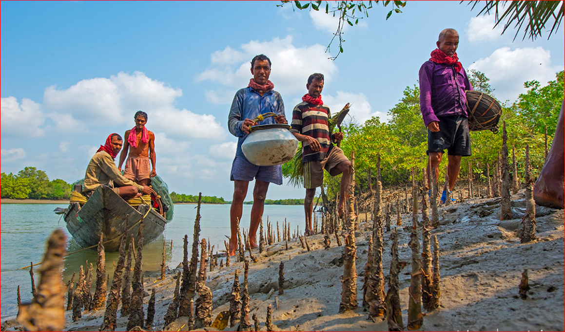Sundarbans Conservation a must
