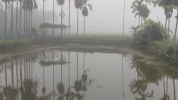 Lalmonirhat shivers as temperature drops to 13.5°C