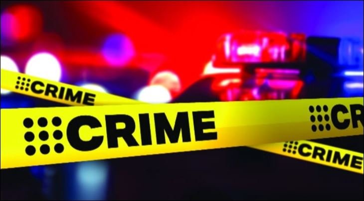 Dhaka may see shift in crime patterns ahead of national election: DB