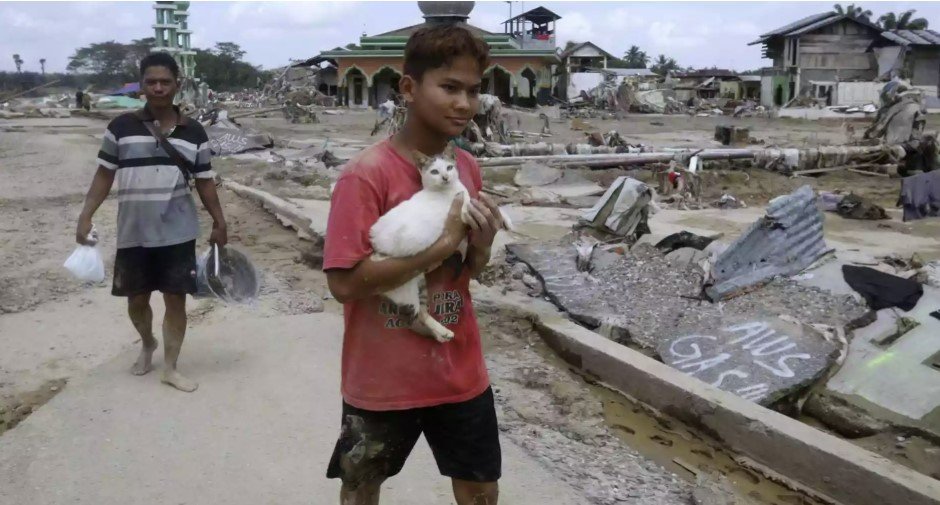 Survivors for urgent aid after deadly floods, landslides kill over 1,500 across Asia