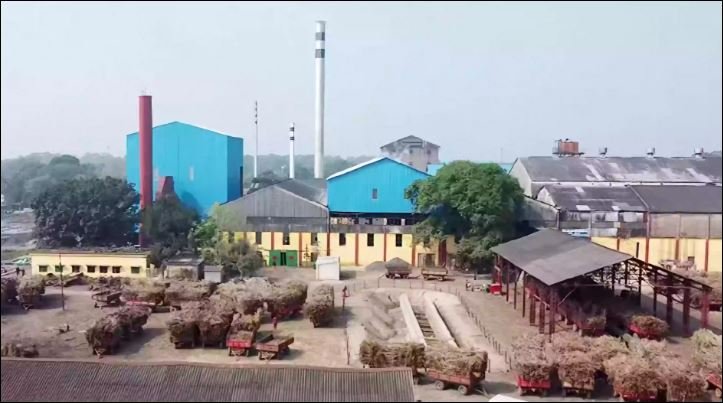 Carew & Co posts record profit though its ageing sugar unit drags business down