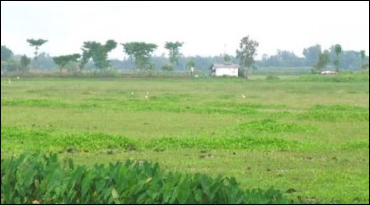 Bangladesh launches Tk 500cr project to turn haor fallow lands into productive farmland