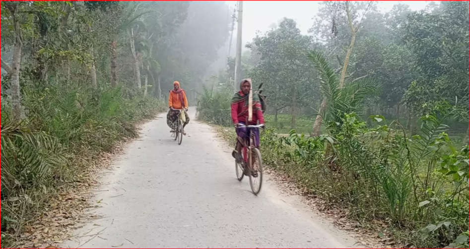 Cold wave hits Chuadanga, disrupts normal life