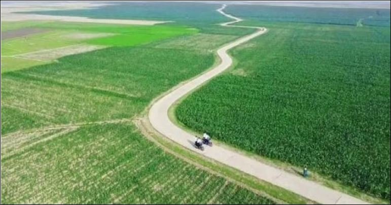 Bridging Haors: BADC initiative transforms rice harvesting in Sunamganj